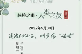 秘境之眼·人类之友 日历 | 水雉：凌波似仙子，叫声像“喵喵”图片