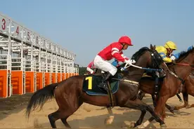 少数民族赛马项目竟是这样玩的？图片