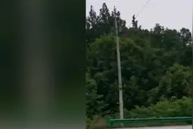 陕西汉中一水泥罐车与两轮电动车相撞，3死1伤