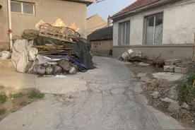 党建引领渔村人居环境整治 大钦岛村容村貌换新颜图片