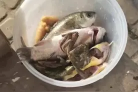 疫情下的货车司机：路上顺畅了但仍不好干，收入缩了四成图片