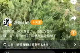 游客在陶然亭公园抓白鸭被制止，公园：报告执法部门，查实将惩戒图片