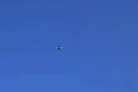 夜读｜如何找到自己的天赋图片