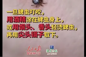 河南蜱虫“咬死”三人，上海白蚁成群来袭：专家教你科学防范图片
