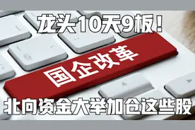 国企改革龙头10天9板！概念股持续活跃，北向资金大举加仓这些股丨一大板块视频封面