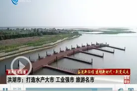 「春风又绿荆江岸」洪湖：打造水产大市、工业强市、旅游名市图片