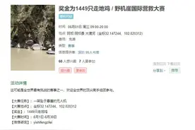 飞丢无人机，“少量费用”换机竟达购机价一半？大疆回应图片