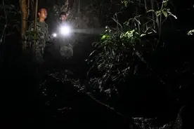 广东韶关：夜寻鳄蜥图片