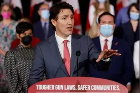 加拿大将立法禁止进口、买卖和运输手枪 Handguns: Canada proposes complete freeze on ownership图片