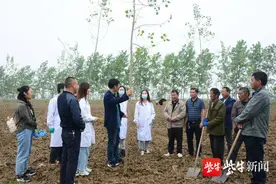 漫天飞舞的“毛毛雨”有救了！南林大团队研发新技术，解“杨絮之恼”图片