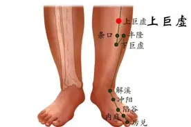 每周一穴丨通腑化滞，还能缓解便秘——上巨虚穴视频封面
