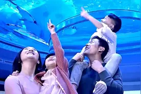 上海海昌海洋公园8天免费游园预约通道暂停开放，活动顺延视频封面