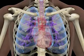 坚持健步走2个月、4个月、半年……身体发生的变化可能远超你的预料图片