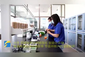 单日入库量最高达2000多吨！山东单体最大的省直粮库夏粮收购“火力全开”图片