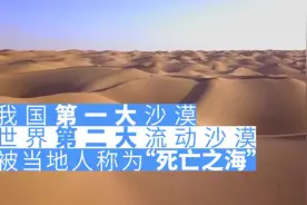 依靠光，这条沙漠公路除了绿色什么都没留下图片