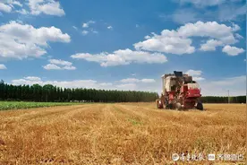 聊城农科院向广大农民朋友发出提醒：夏粮机收要注意这几点啦图片