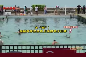 冲“鸭”！海峡两岸龙舟赛上演捉鸭子比赛图片