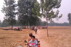 夜读｜童年的麦收图片