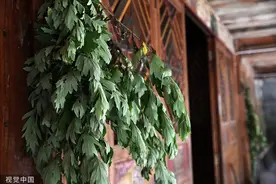 民俗·日常丨端午到了，你选择“沐兰”还是“悬艾”？图片