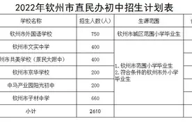 钦州市教育局2022年市直民办初中学校招生公告图片
