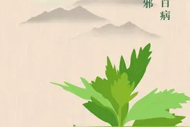 端午节悬菖蒲、挂艾叶，原来有这些好处图片