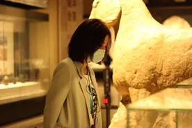 台胞豫言 豫见美好⑥丨推荐台湾同胞来河南博物院感受中原文化图片