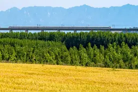 治愈！镜头下的中国麦田有多美图片