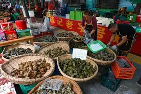 万物皆可“粽”！只要包得进去，世界就是你的......图片