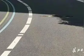 慎点！武汉有小区“蛇出没”，遇到这种蛇迅速远离……图片