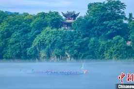 安徽泾县桃花潭：百舸争流 竞渡龙舟图片