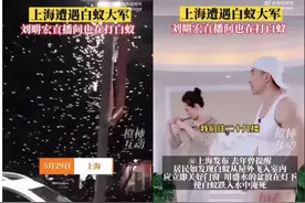 “白蚁军团”袭来，为什么是上海？图片