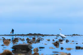 如果说人与狗相互驯化，人与自然也可以有更多可能 | 世界环境日图片