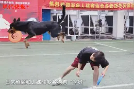 太会“玩”了！南通90后小伙开了家“狗狗幼儿园”图片