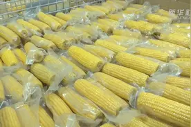 一穗小玉米为啥能卖到9.89元？视频封面