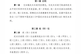 天枢境？隐元境？武术协会宣布试行按“境界”划分段位图片
