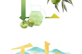 今日，芒种图片