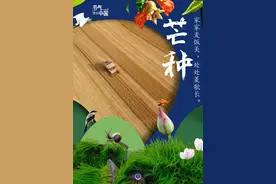 节气里的中国｜芒种：仲夏至 麦飘香图片