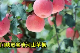 2022年我市普通高中招生计划公布图片