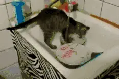 这样洗碗等于“没洗”教你正确的洗碗方式图片