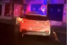 流浪狗被警员驾车用绳索拖离现场，宜宾警方：执法简单粗暴，已责令停职图片