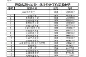 转需！云南省教育厅公布高校毕业生就业统计工作举报电话图片