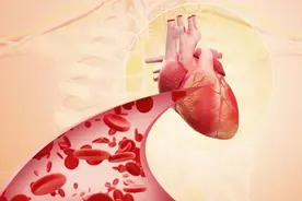 血管决定你的寿命！6招帮血管保持年轻图片