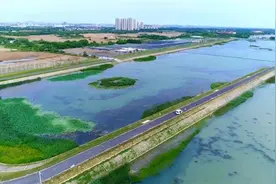 常州武进：“退田还湖”构建“水下森林”，长效管护擦亮“生态底色”图片