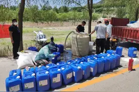 市中区飞机喷药防治第一代美国白蛾5.5万亩图片