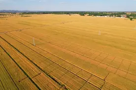 河北保定：一次性补贴种粮农民4738万元图片