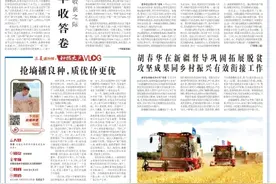 特殊之年的丰收答卷——写在河南夏粮收获之际图片