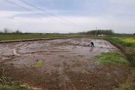 嘉鱼陆溪野藕产业有限公司：种好一根藕 带富一群人图片