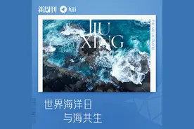 夏天不能去海边，我要枯了图片