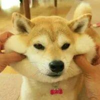 ٯãϺحнӰ