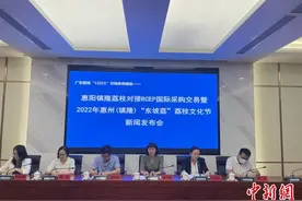 广东惠阳镇隆最早的桂味荔枝一斤卖到80元图片